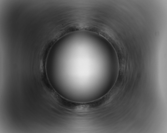 X0000088710700200706141448