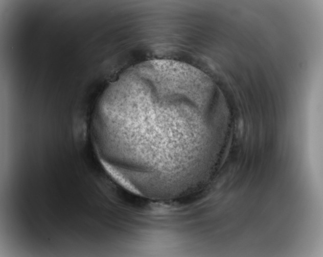 X0000088710703200706141448