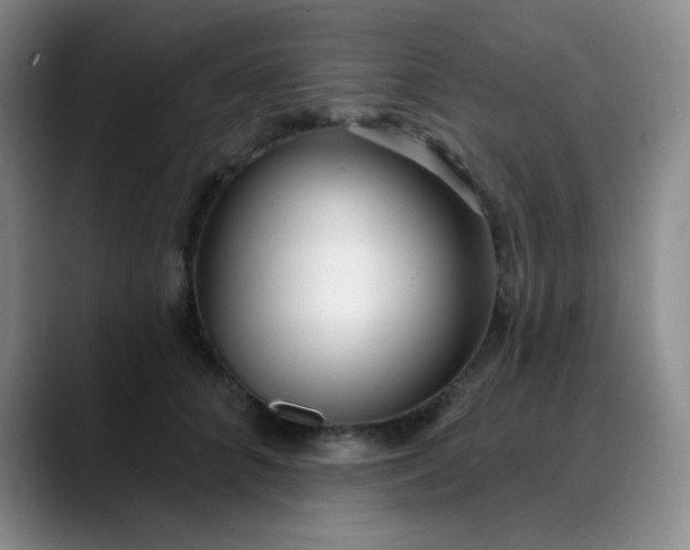 X0000088710704200706141448