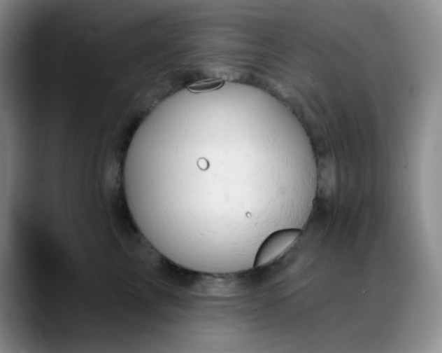 X0000088710713200706141448