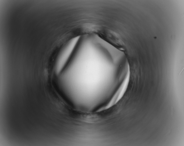 X0000088710716200706141448