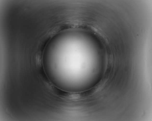 X0000088710719200706141448