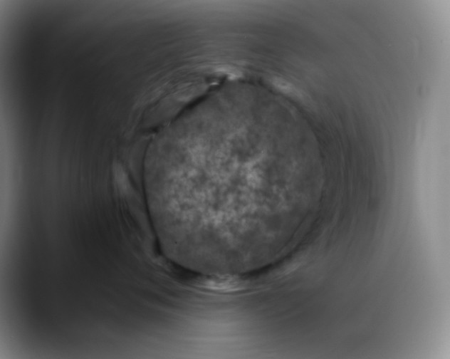 X0000088710720200706141448