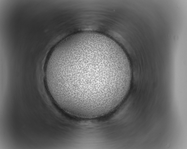 X0000088710721200706141448