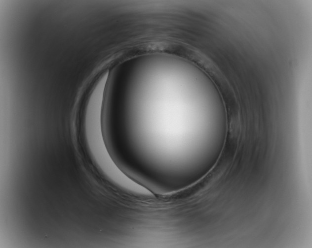 X0000088710722200706141448