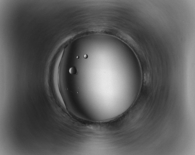 X0000088710724200706141448