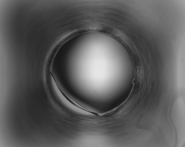 X0000088710726200706141448