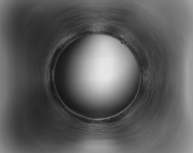 X0000088710727200706141448