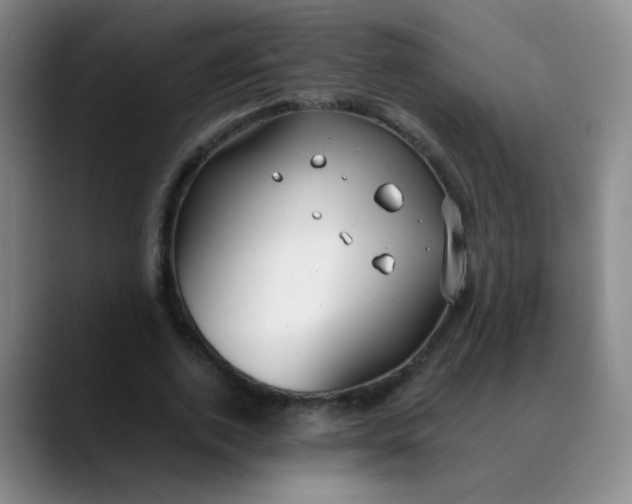 X0000088710728200706141448