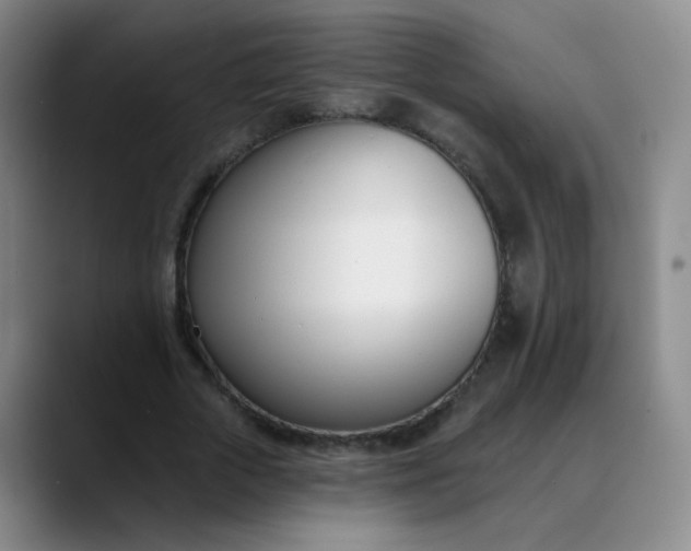 X0000088710729200706141448