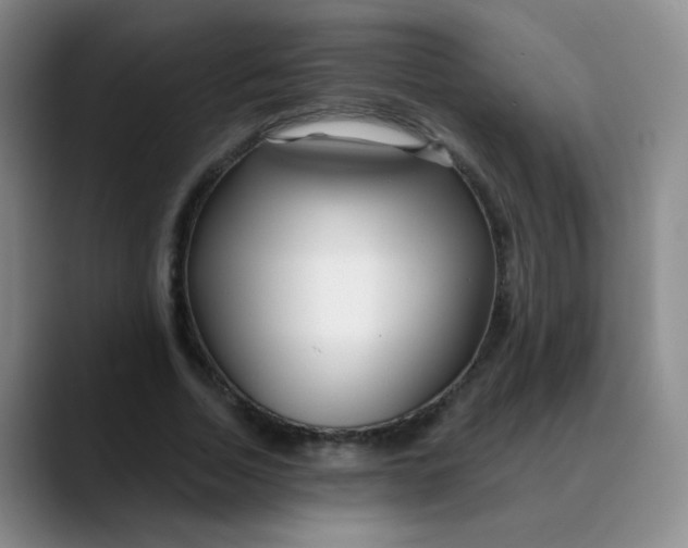 X0000088710730200706141448