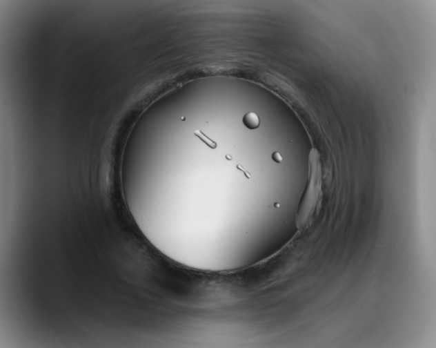 X0000088710732200706141448