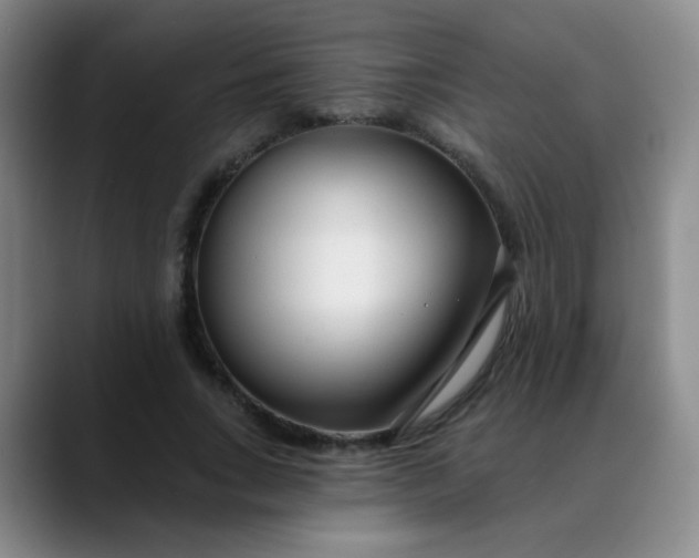 X0000088710735200706141448