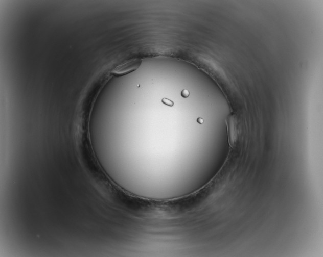 X0000088710736200706141448