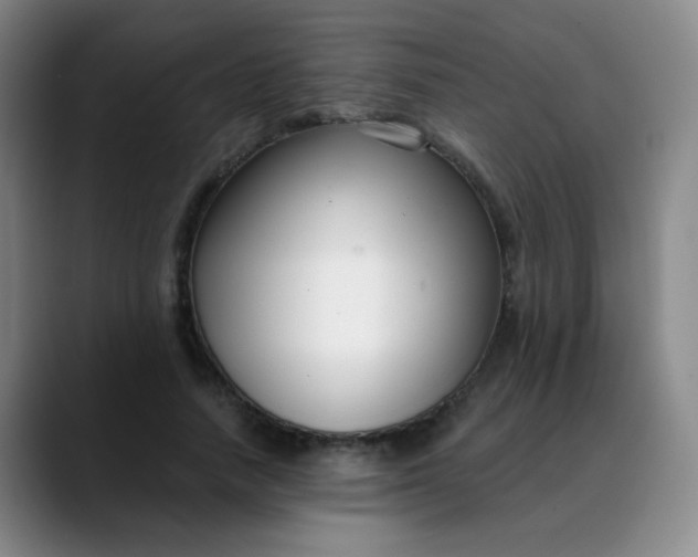 X0000088710738200706141448