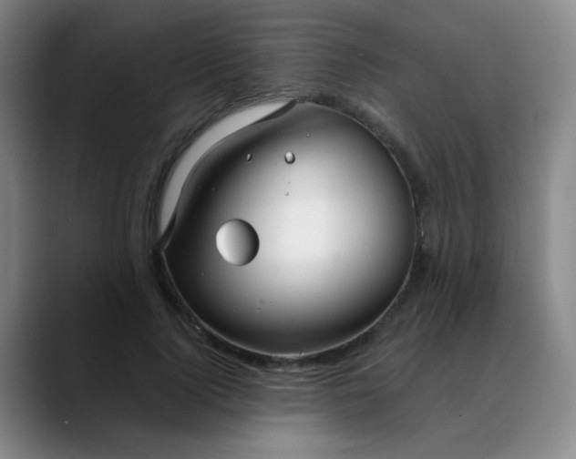 X0000088710740200706141448