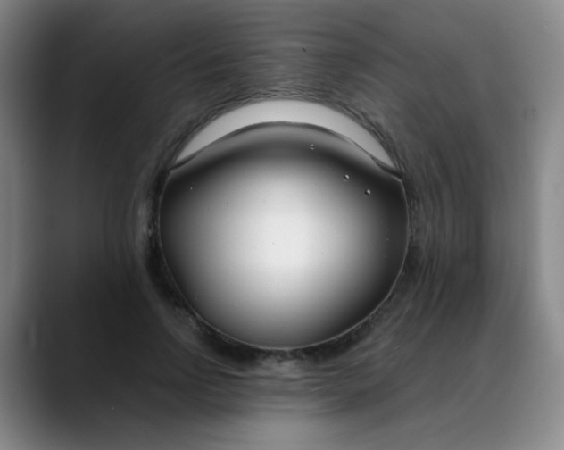 X0000088710742200706141448