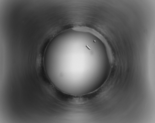 X0000088710744200706141448