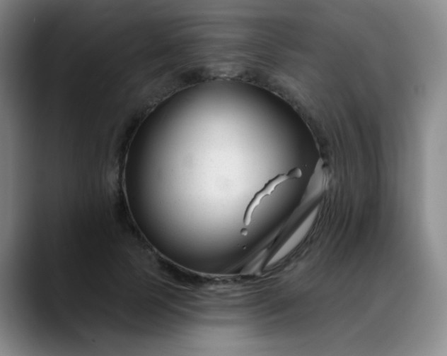 X0000088710745200706141448