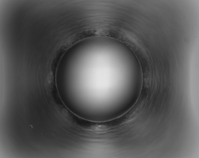 X0000088710748200706141448