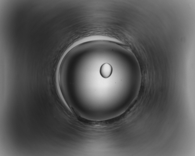 X0000088710750200706141448