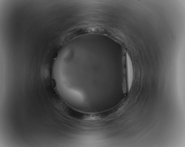 X0000088710754200706141448