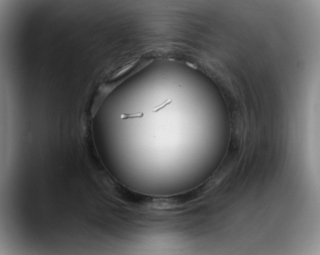 X0000088710758200706141448