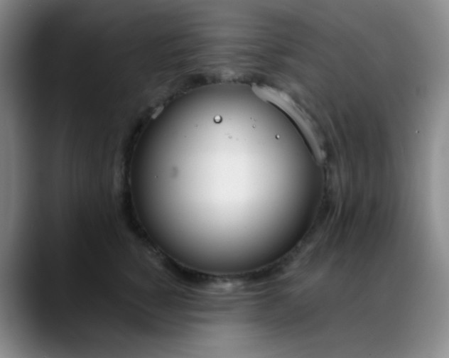 X0000088710760200706141448