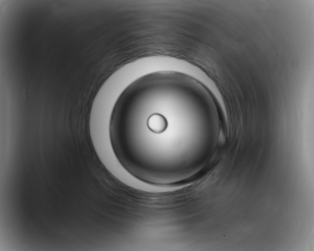 X0000088710766200706141448