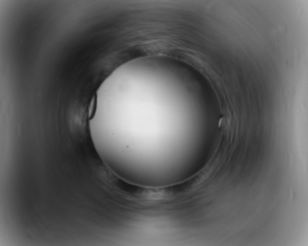 X0000088710767200706141448