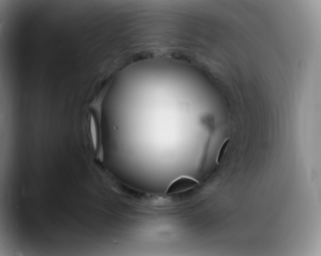 X0000088710768200706141448