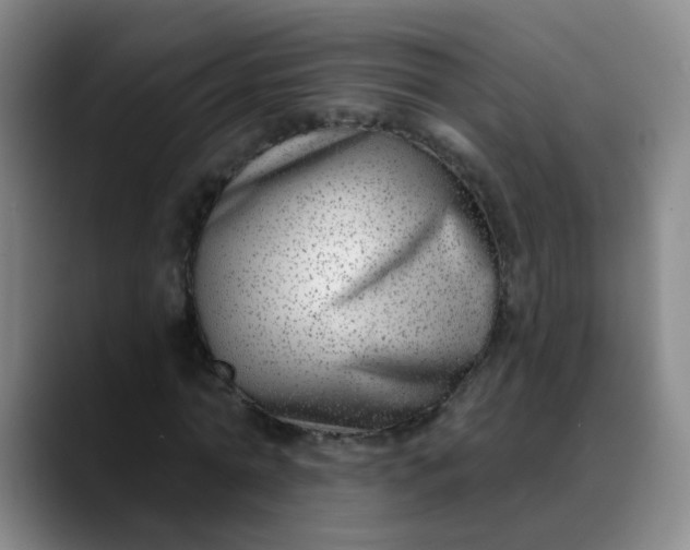 X0000088710774200706141448