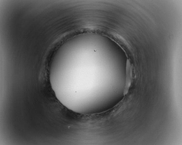 X0000088710776200706141448