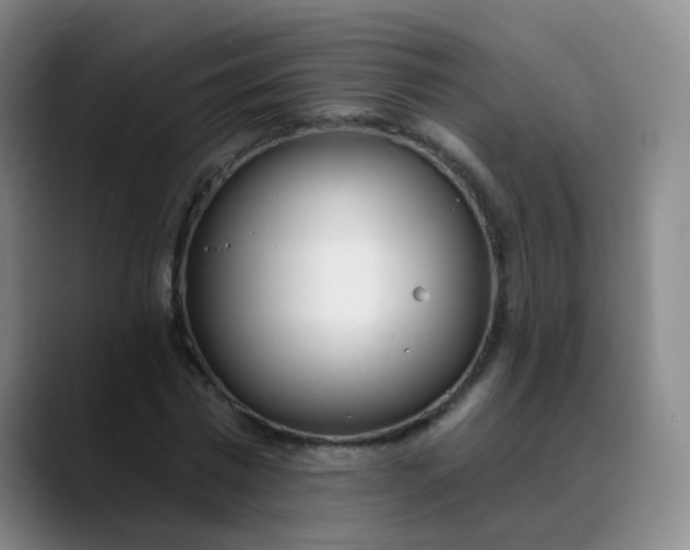 X0000088710777200706141448