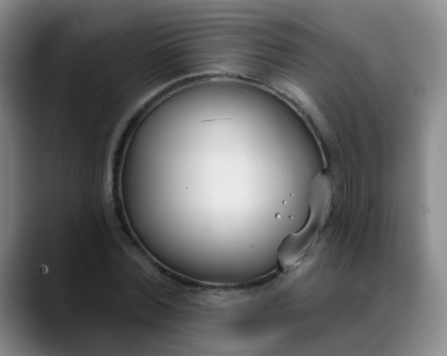 X0000088710780200706141448