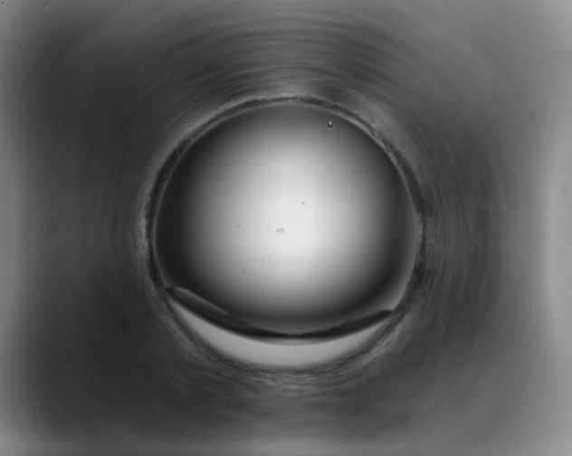 X0000088710789200706141447