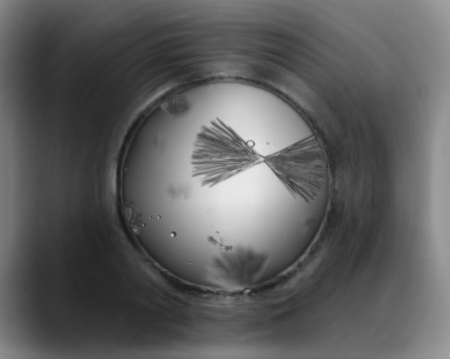 X0000088710790200706141447