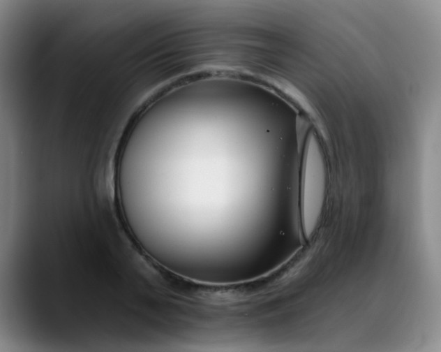 X0000088710791200706141447