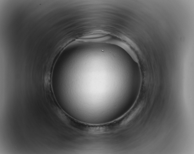 X0000088710793200706141447