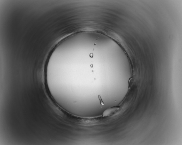 X0000088710795200706141447