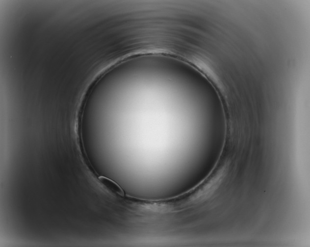 X0000088710797200706141447