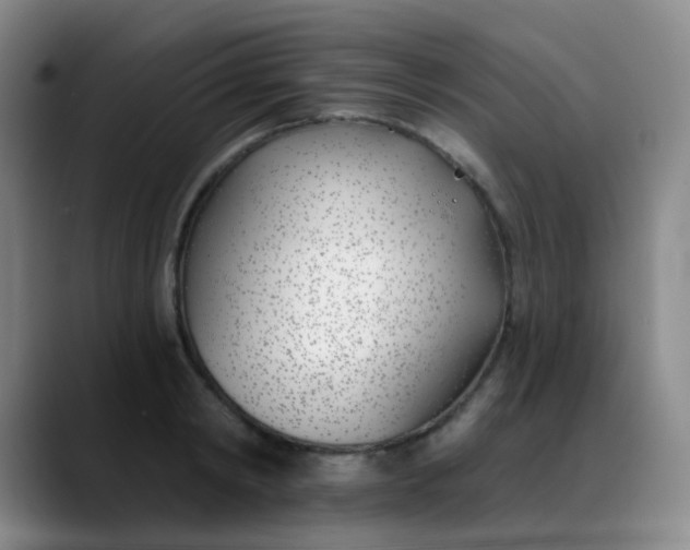 X0000088710798200706141447