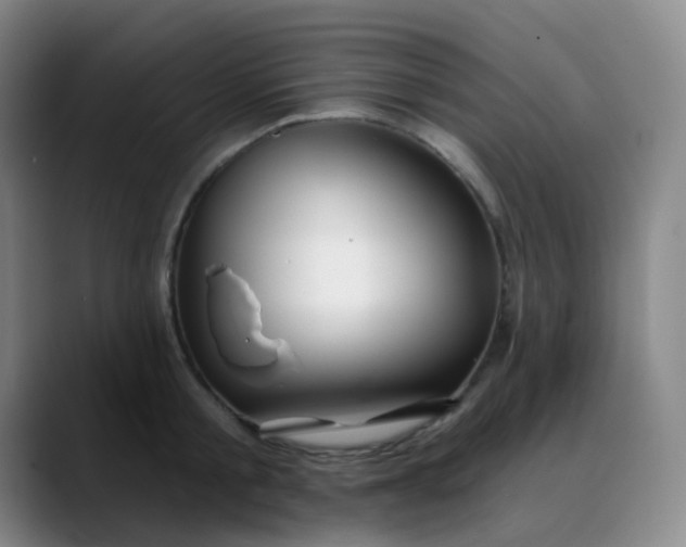 X0000088710805200706141447