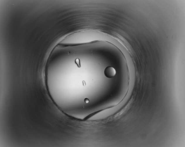 X0000088710812200706141447