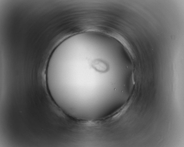 X0000088710814200706141447