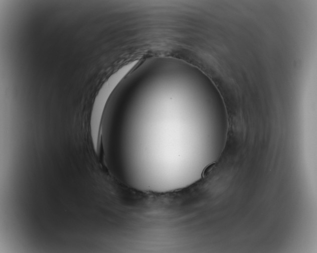 X0000088710818200706141447