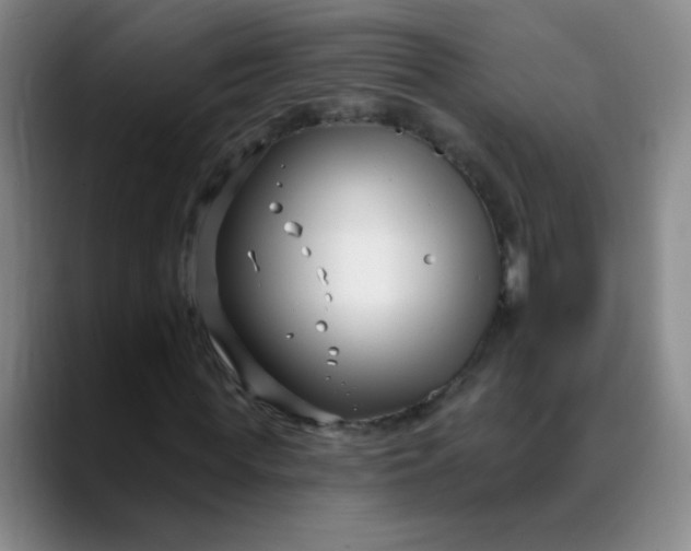 X0000088710819200706141447