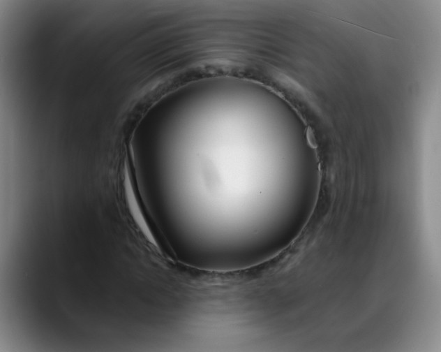 X0000088710822200706141447