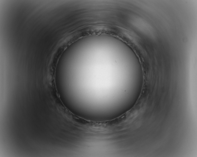 X0000088710823200706141447