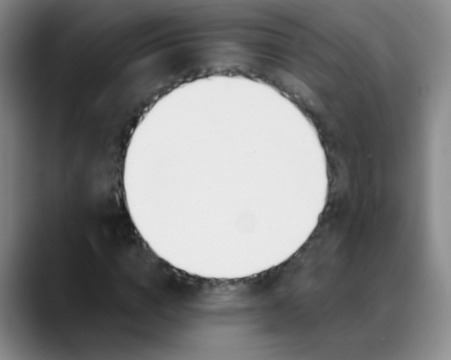 X0000088710824200706141447